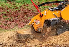 Best Tree Mulching  in Havana, IL